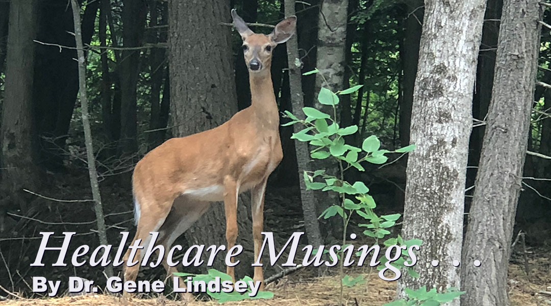 Healthcare Musings For 5 July 2019